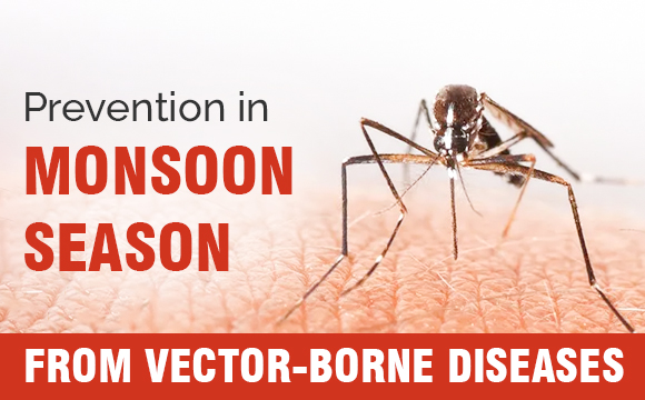 Prevention in Monsoon Season from Vector-Borne Diseases